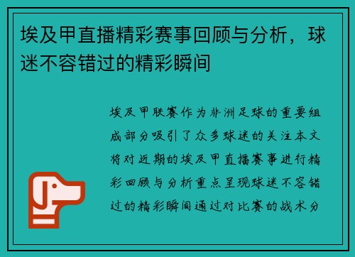 埃及甲直播精彩赛事回顾与分析，球迷不容错过的精彩瞬间